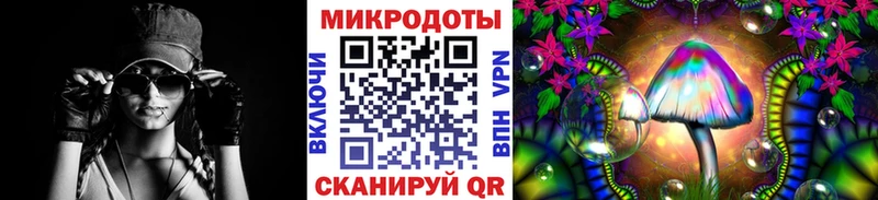 Псилоцибиновые грибы Psilocybe  OMG зеркало  Горбатов 